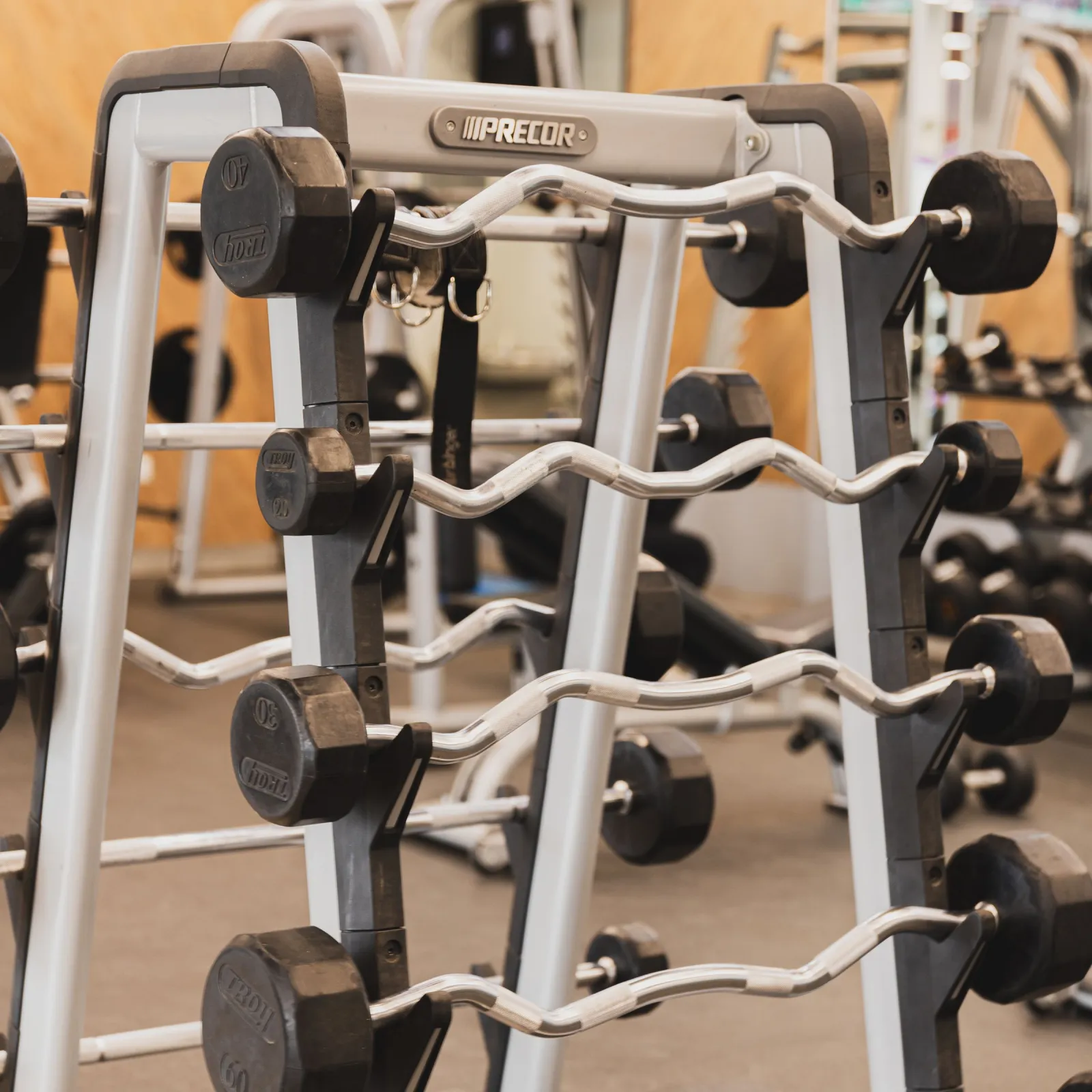 Rack of fixed-weight curl barbells in a bright gym weight room