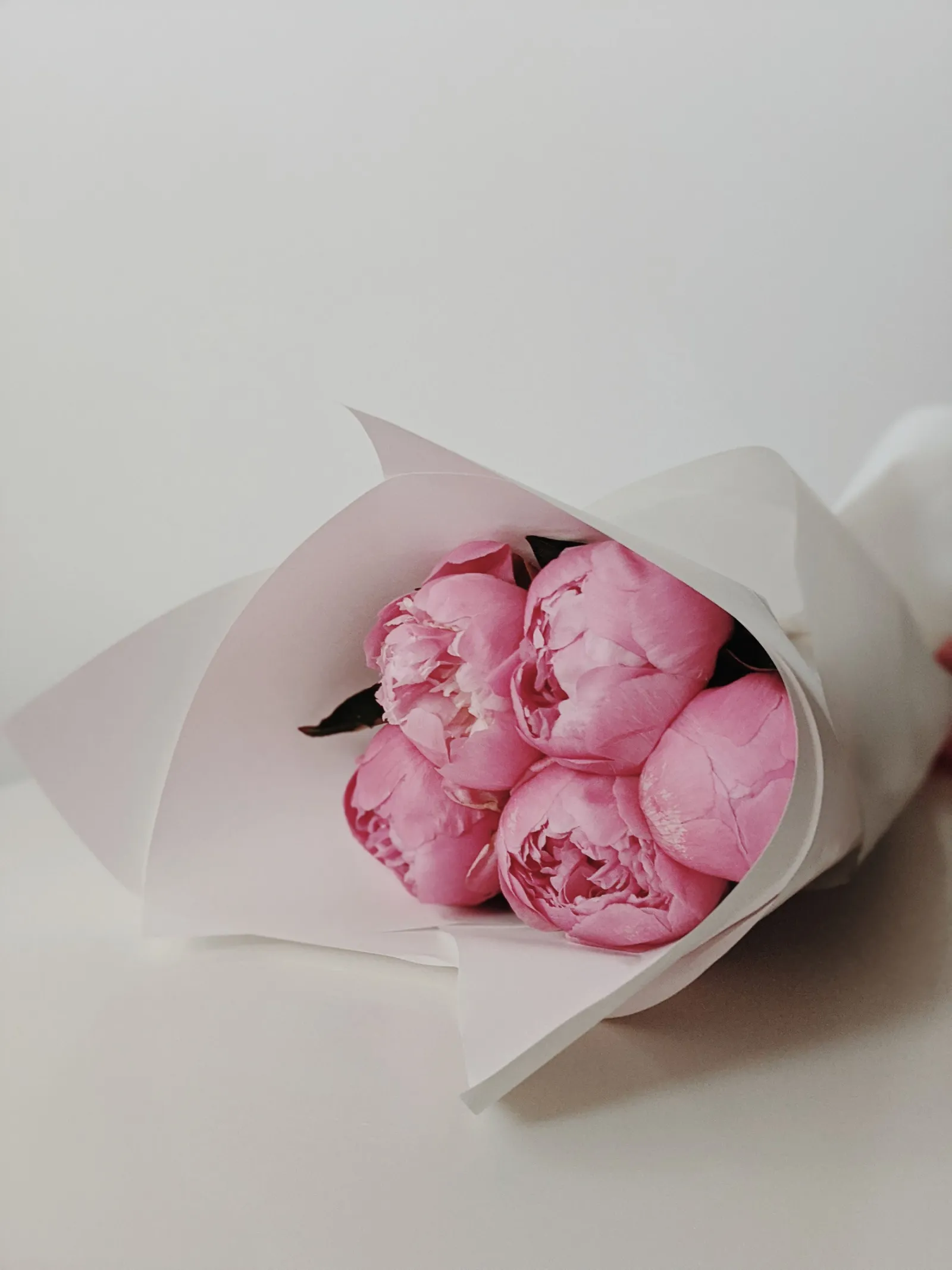 Pink peonies wrapped in white paper lying on a pale table