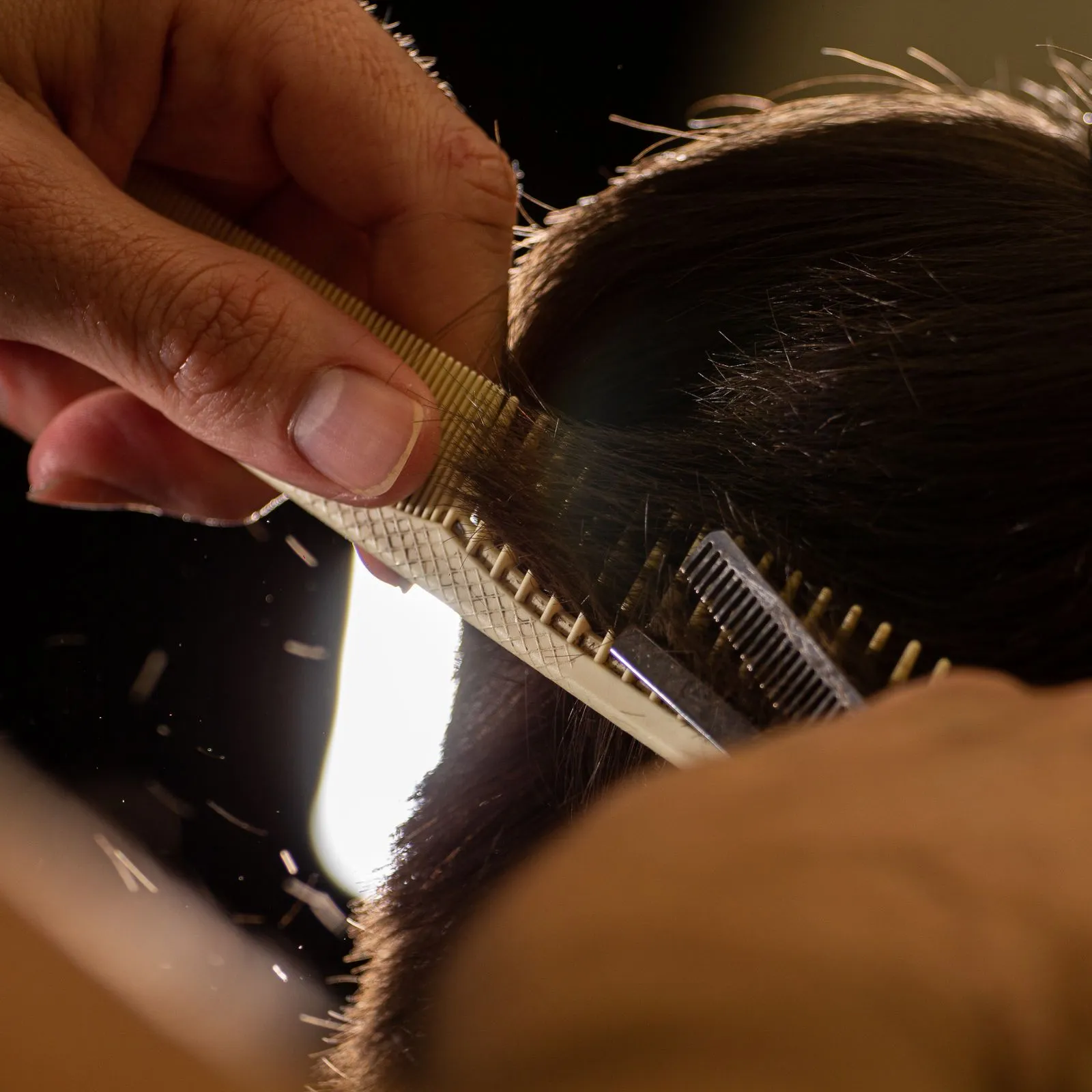 Backlit close-up of a comb and thinning shears working through dark hair