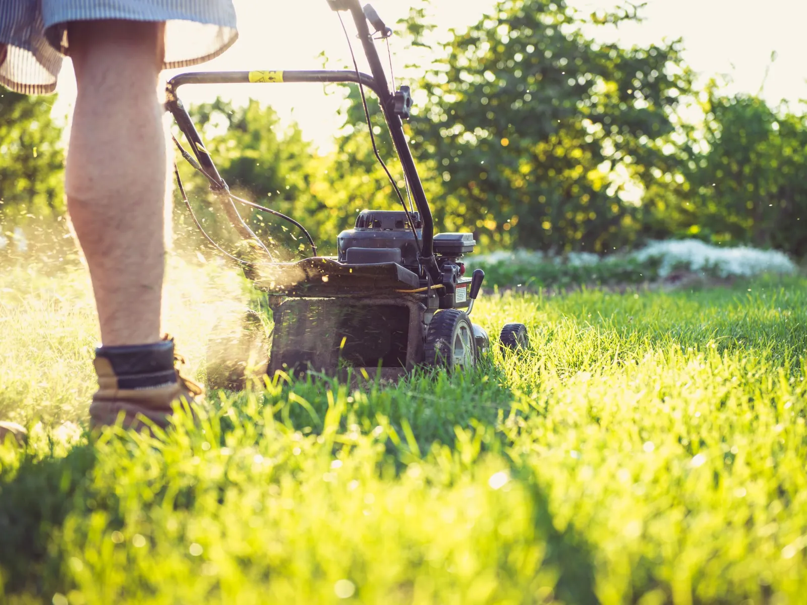 Push lawn mower cutting green grass in a backyard at golden hour, legs of the operator visible