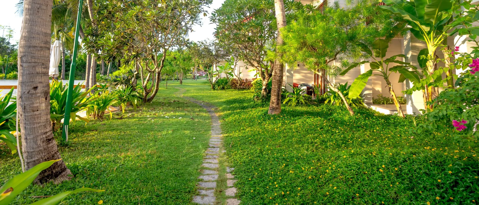 Stone path through a lush tropical garden with palm trees and white villas
