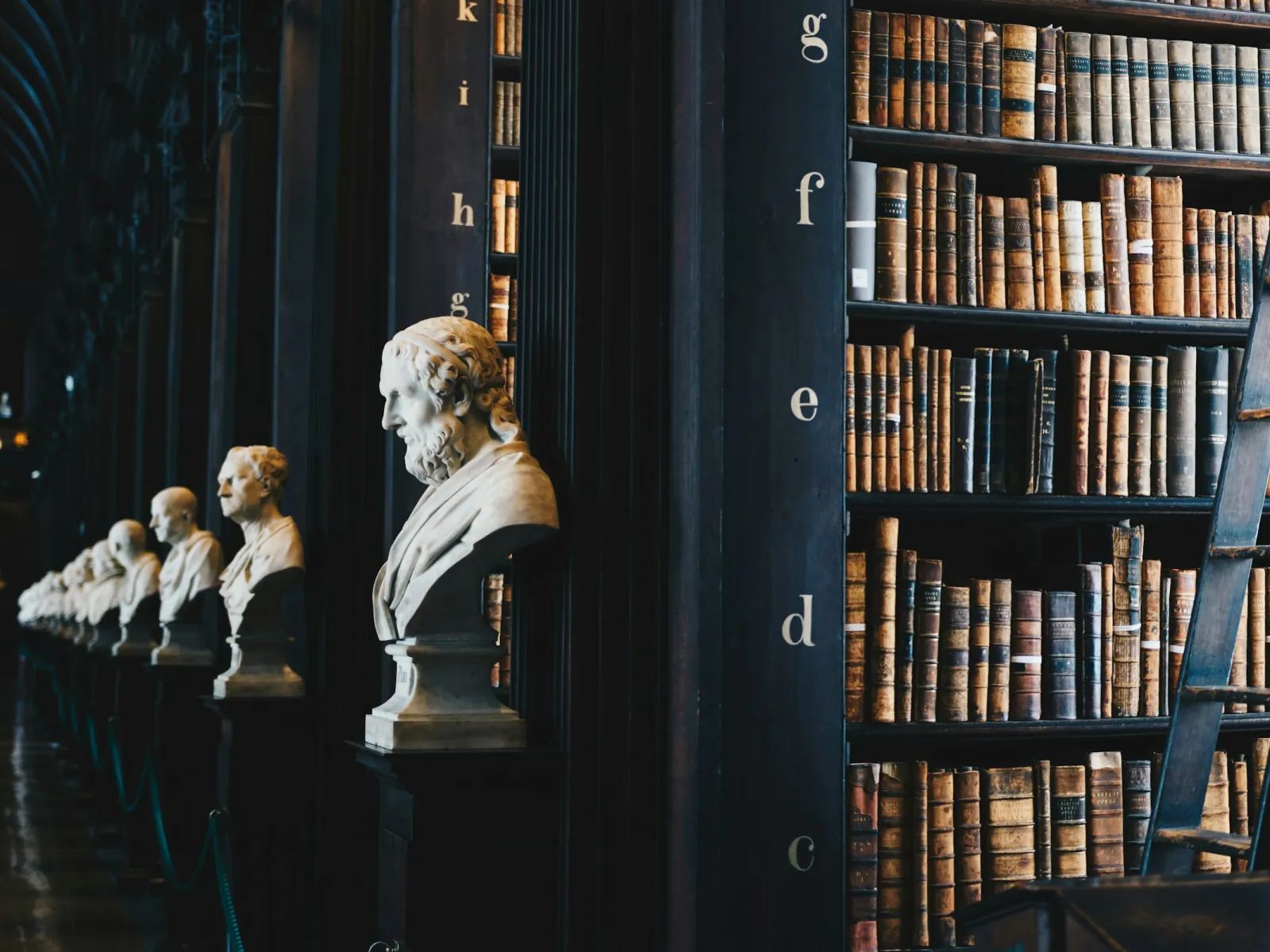 Historic library hall with tall dark shelves of leather-bound books and marble busts